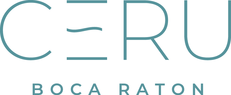 CERU CERU Logo